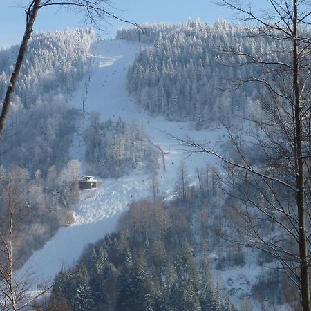 Hotel Lawine Todtnau Bagian luar foto